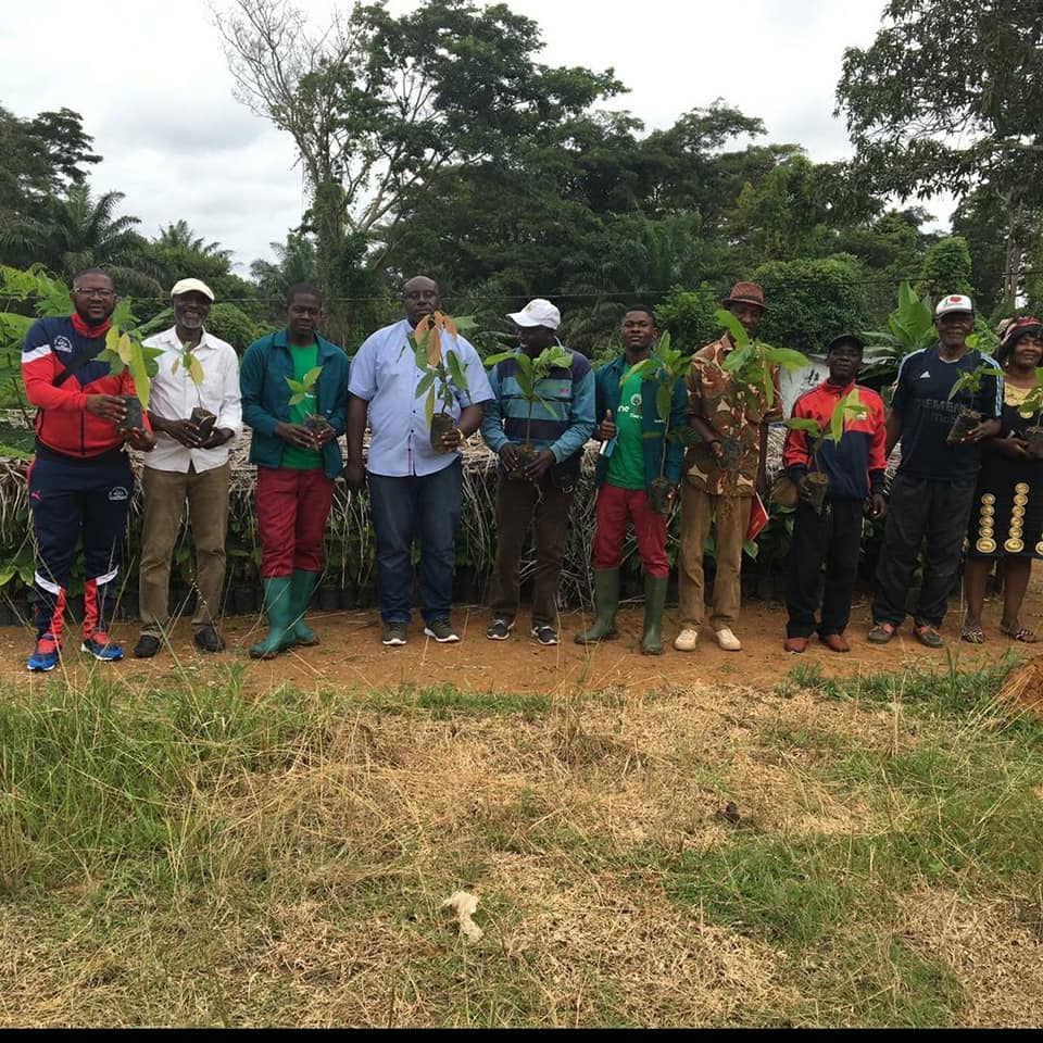 241719580_Cameroun_Kiiki